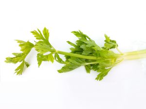 Celery - source of Vitamin K