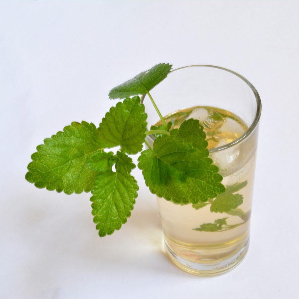 What Is Lemon Balm - Ice Tea