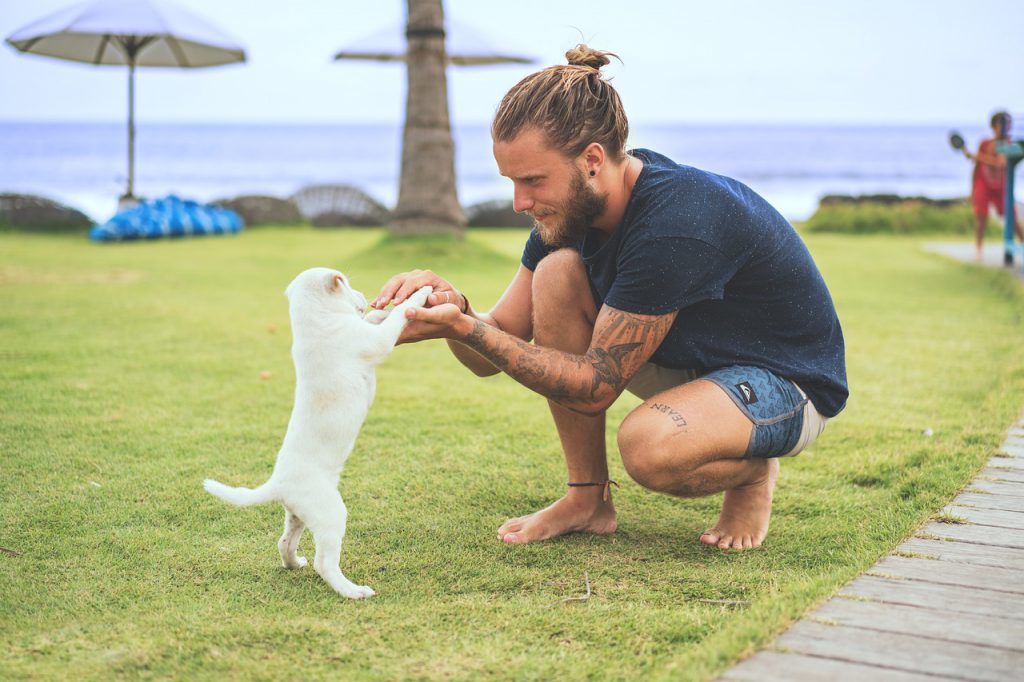 Do Dogs Relieve Stress