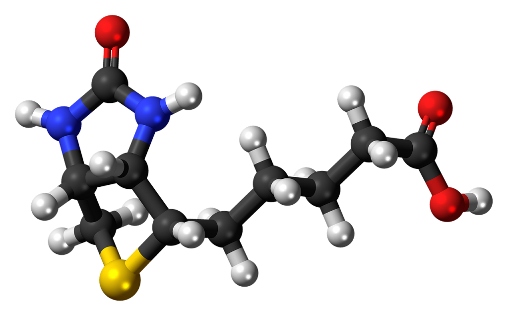 What is Biotin
