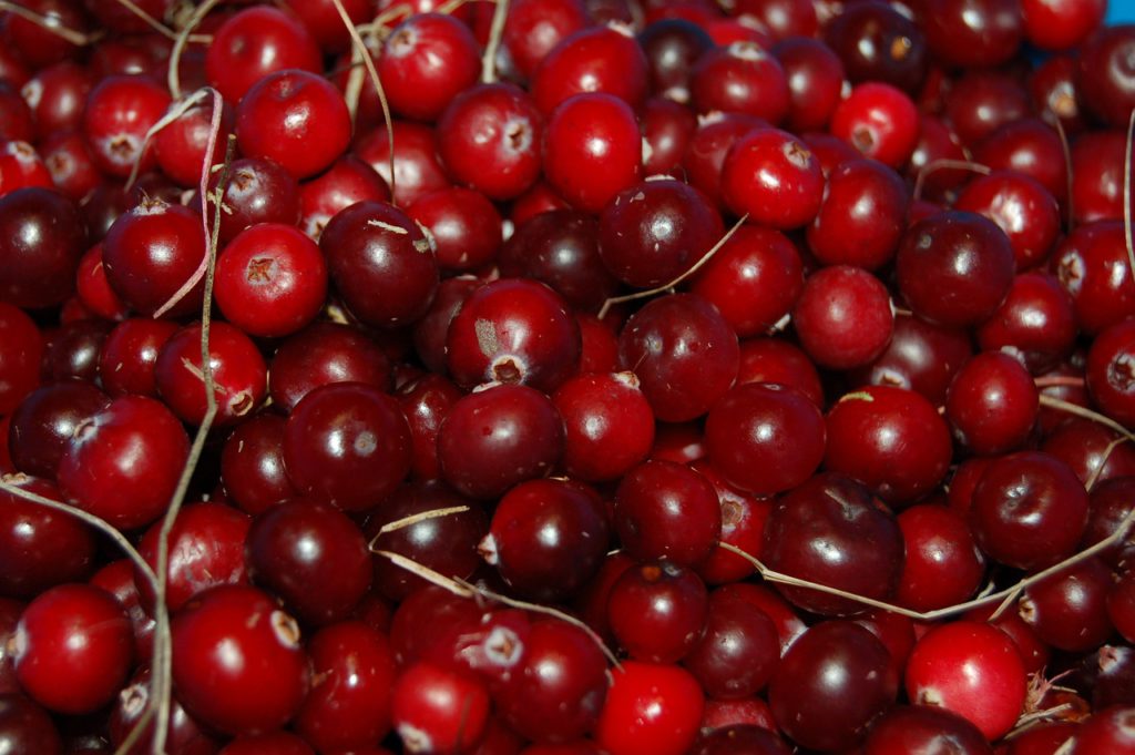 Cranberries For Your Health