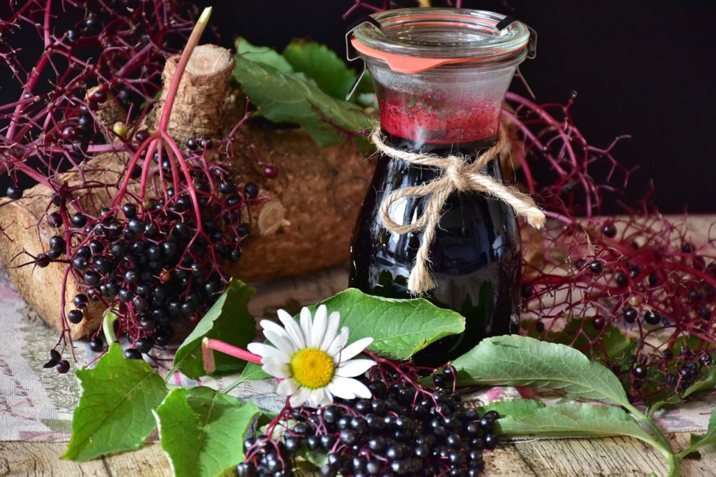 Elderberries For You