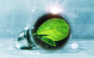 Green Light Bulb and Chlorophyll