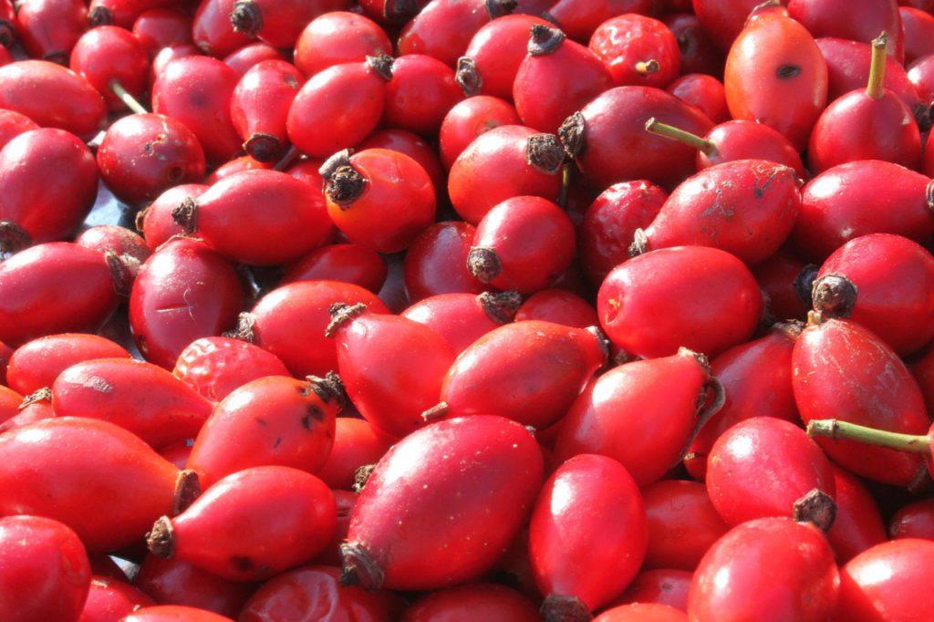 Antioxidants