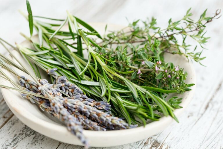 What Is Rosemary Good For? Rosemary and Stress How To Reduce Stress