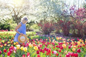 Gardening and Stress