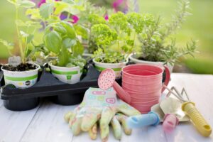 Gardening and Stress Relief 