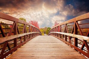 Bridge and Nature