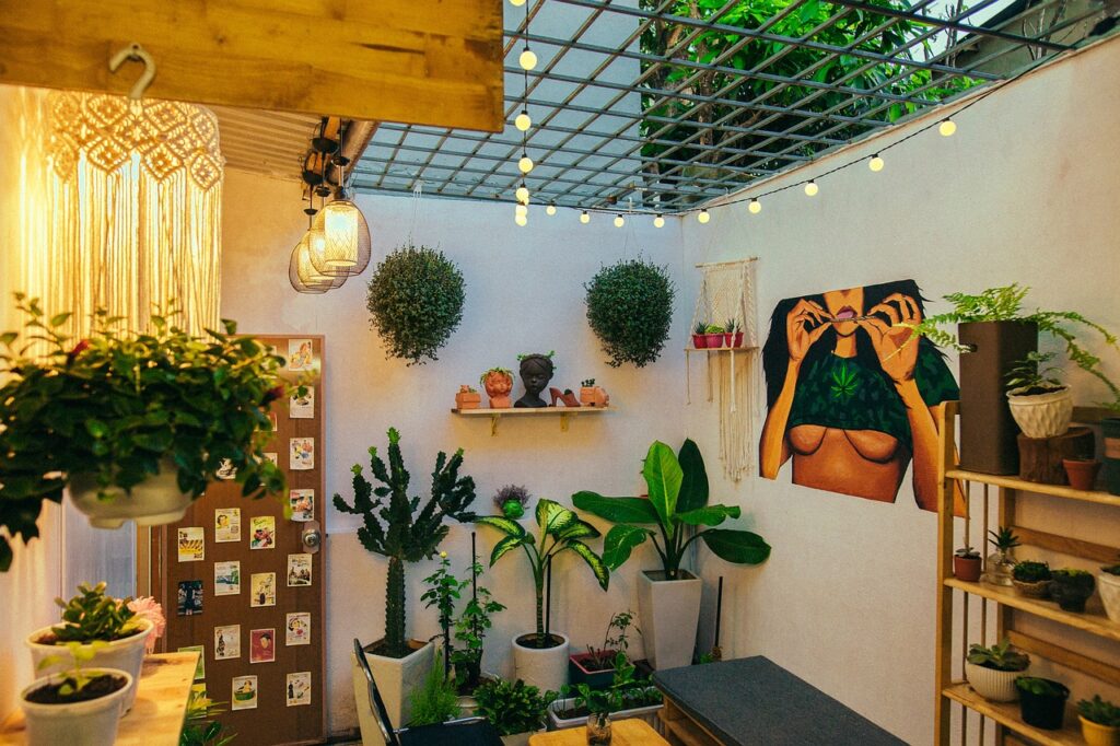 Plants Indoors