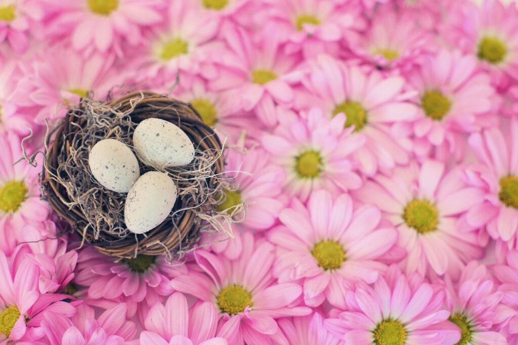 Bird's Nest and Easter