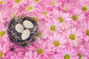 Bird's Nest and Easter