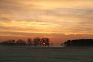 Peaceful Sunrise
