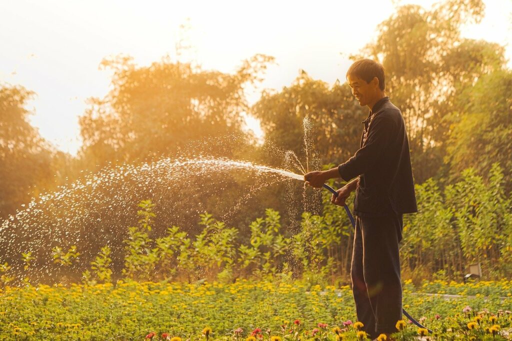 Man Watering His Garden